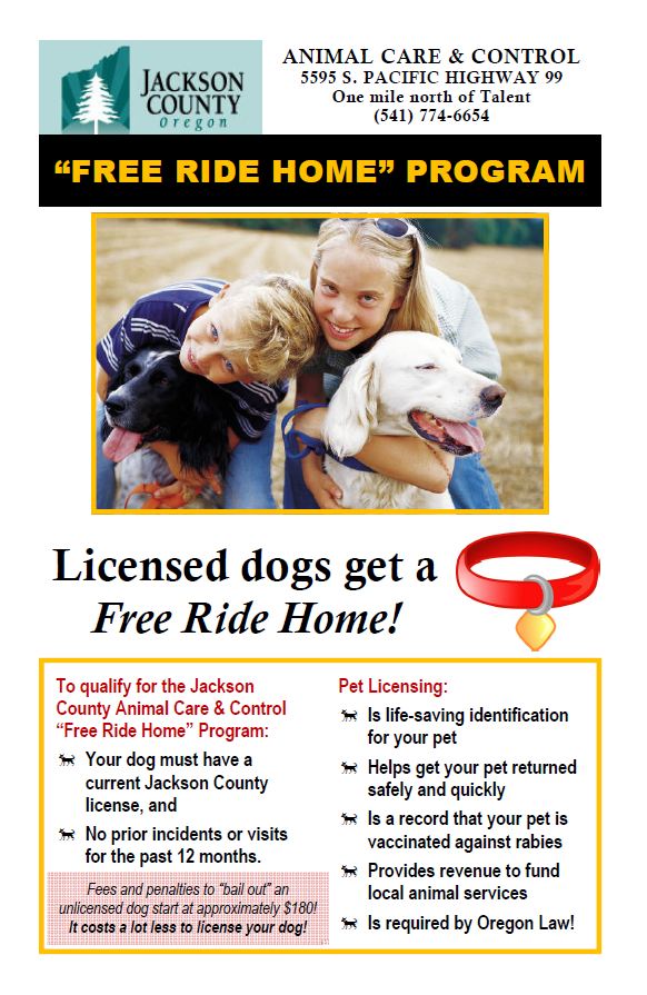 licensed dogs get a free ride home
