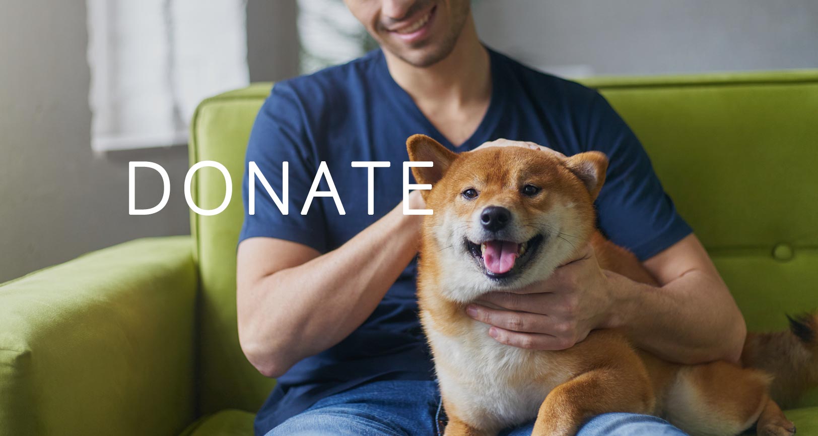 donate to your local animal shelter