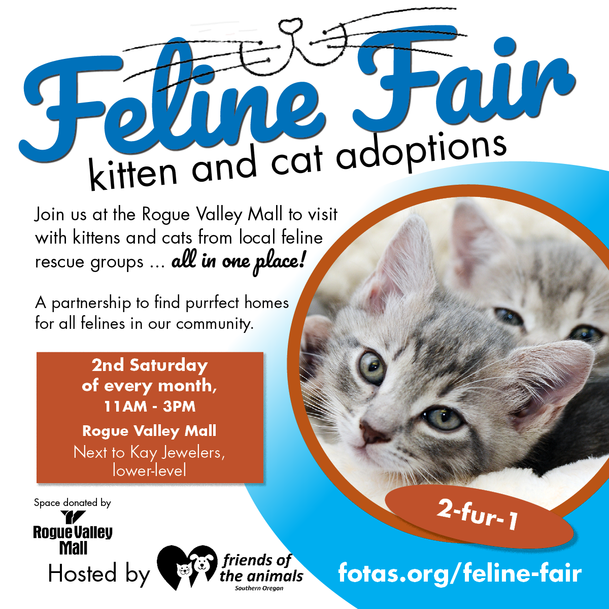 Cat Adoption Animal Adoption Fairs Near Me Dog Adoption Fair Near